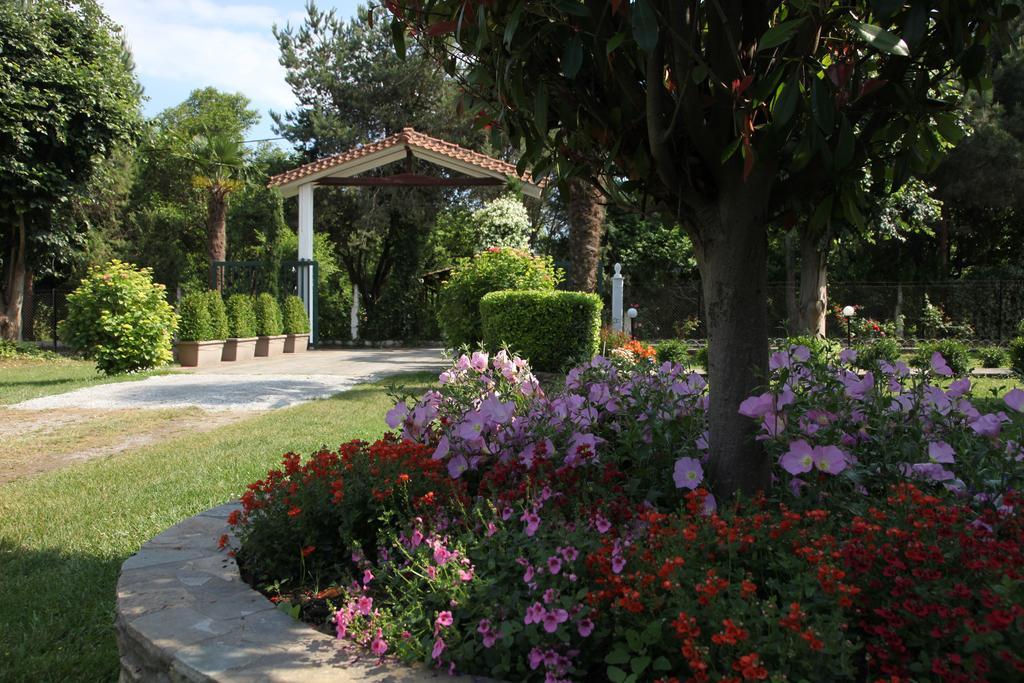 Archontiko Driani Apartment Paralia Panteleimonos Exterior photo